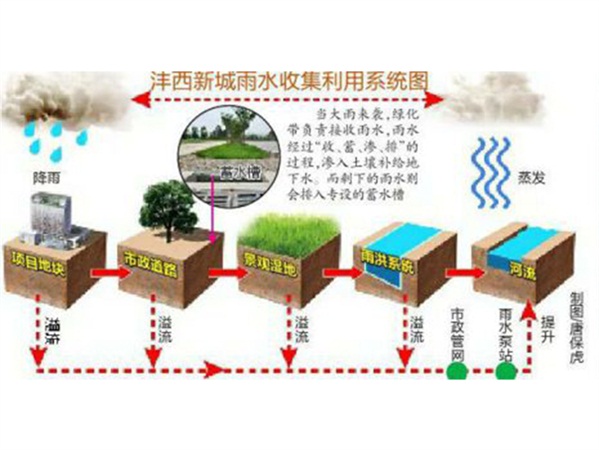 城市污水